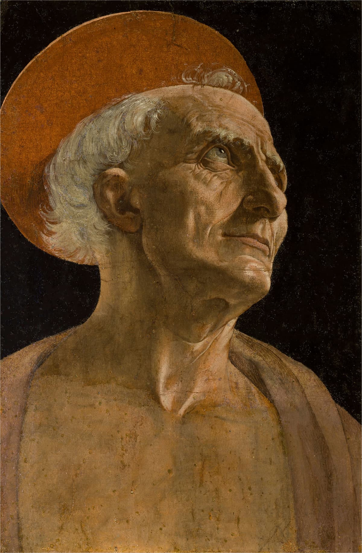 その他 Verrocchio: Sculptor and Painter of Renaissance Florence [DVD] Verrocchio: Sculptor and Painter of Renaissance Florence [DVD