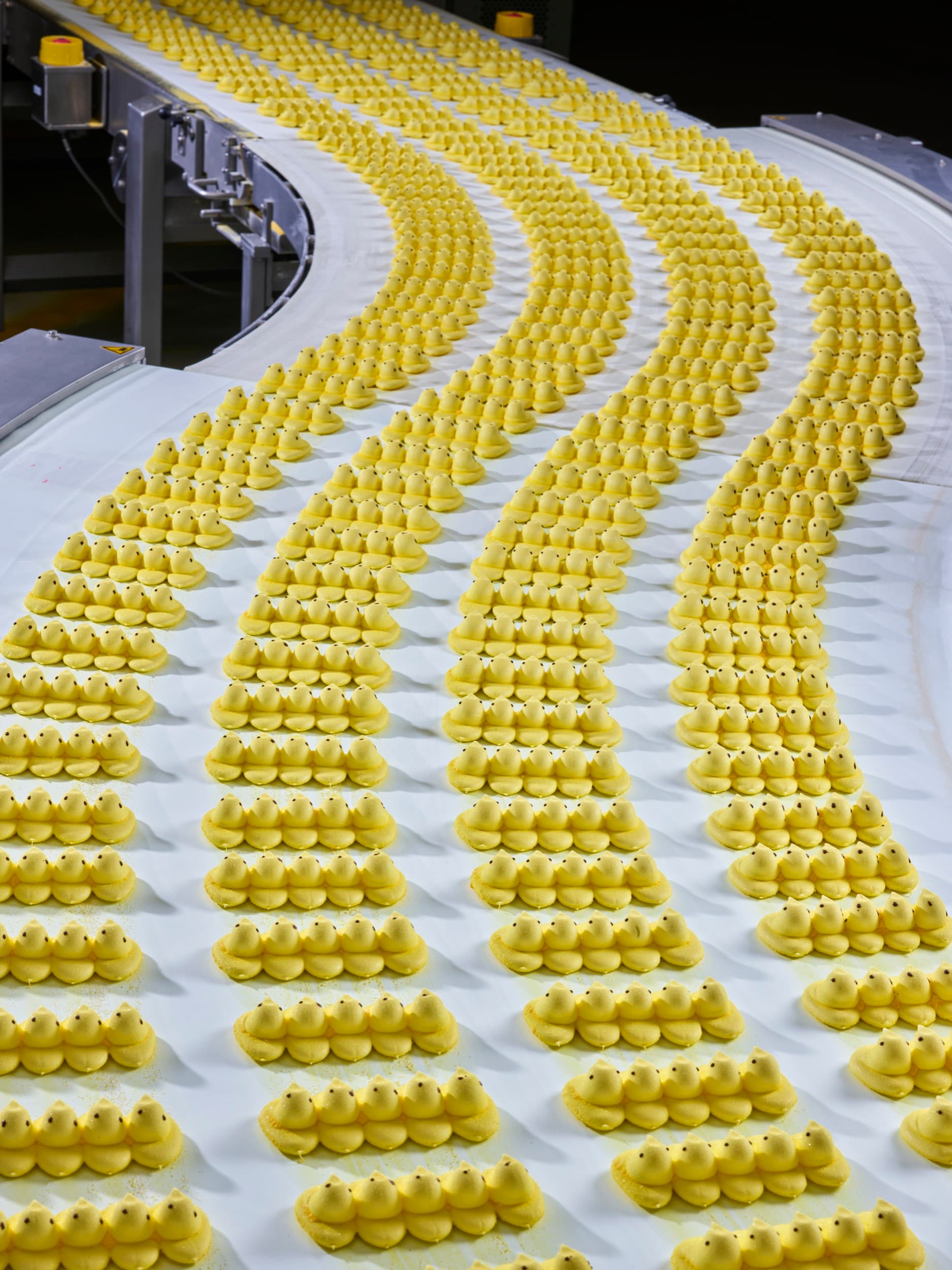 Christopher Payne, PEEPS Marshmallow Chicks cooling on a conveyor belt before being packaged, 2023. Digital pigment print, 40 × 30 inches. Courtesy the artist and Cooper Hewitt.