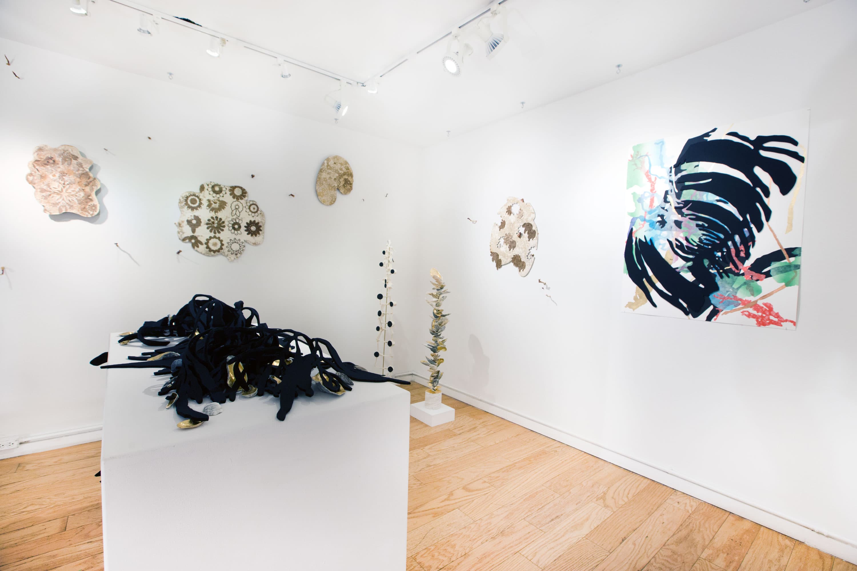 Soft Fascination: Heidi Norton, Jolynn Krystosek & Erin LaRocque