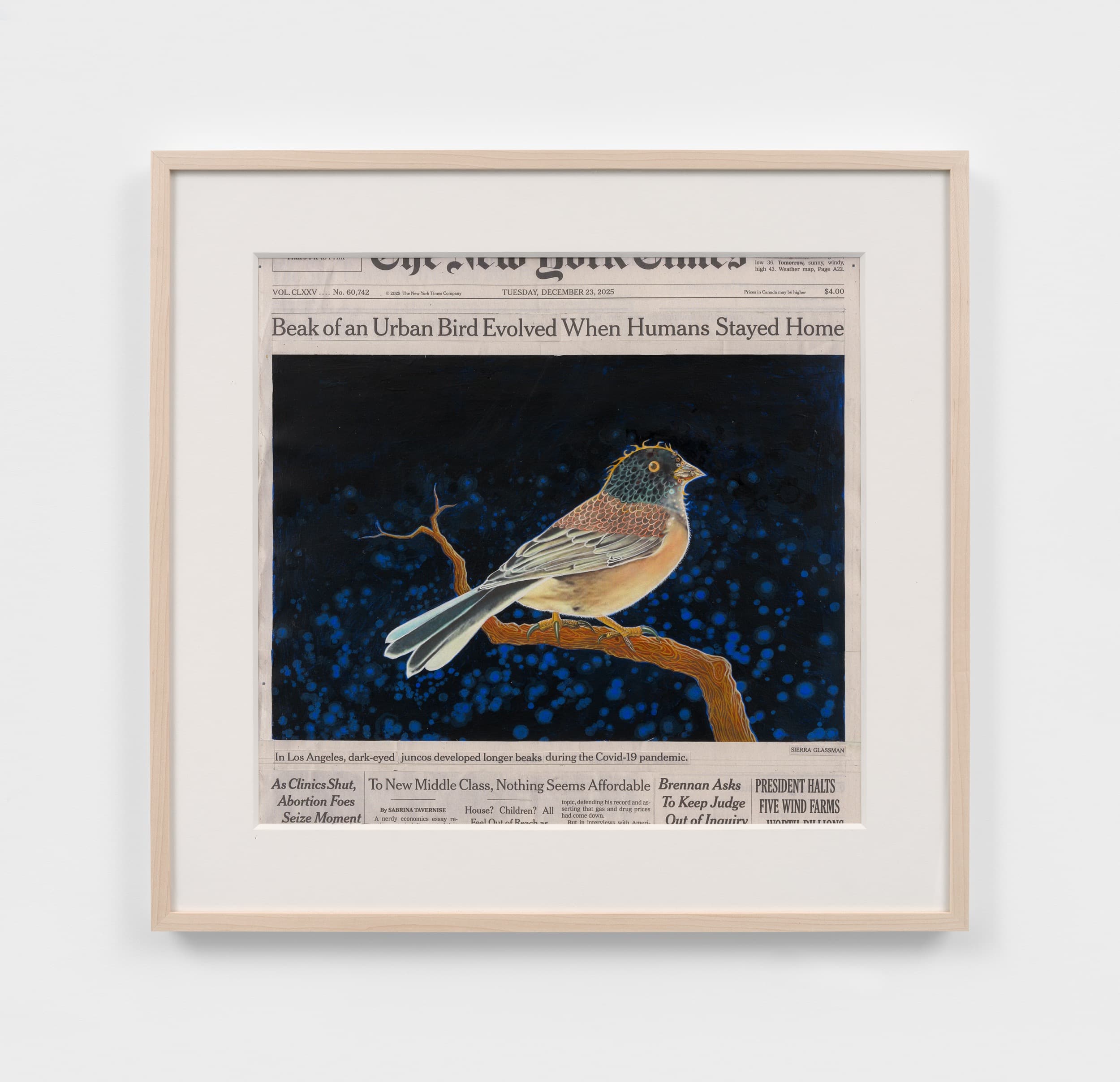 Fred Tomaselli, December 23, 2025, 2025. Ink, gouache, acrylic, photo collage and archival inkjet print on watercolor paper, 15 ½ × 17 inches. Courtesy the artist and James Cohan Gallery.