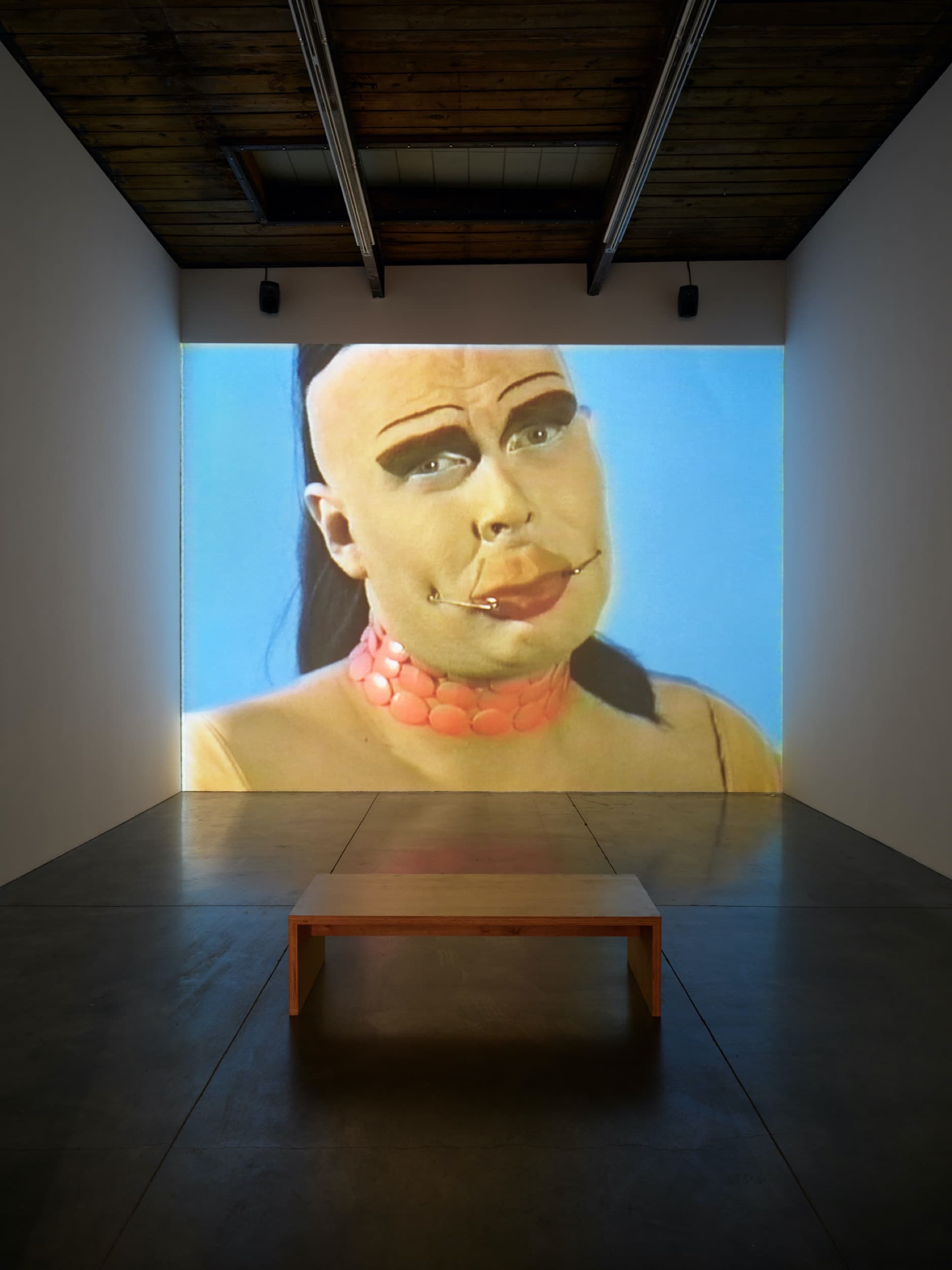 Installation view: Yasumasa Morimura and Charles Atlas: Anamneses, Luhring Augustine, New York, 2026. © the artists. Courtesy the artists and Luhring Augustine, New York. Photo: Farzad Owrang.