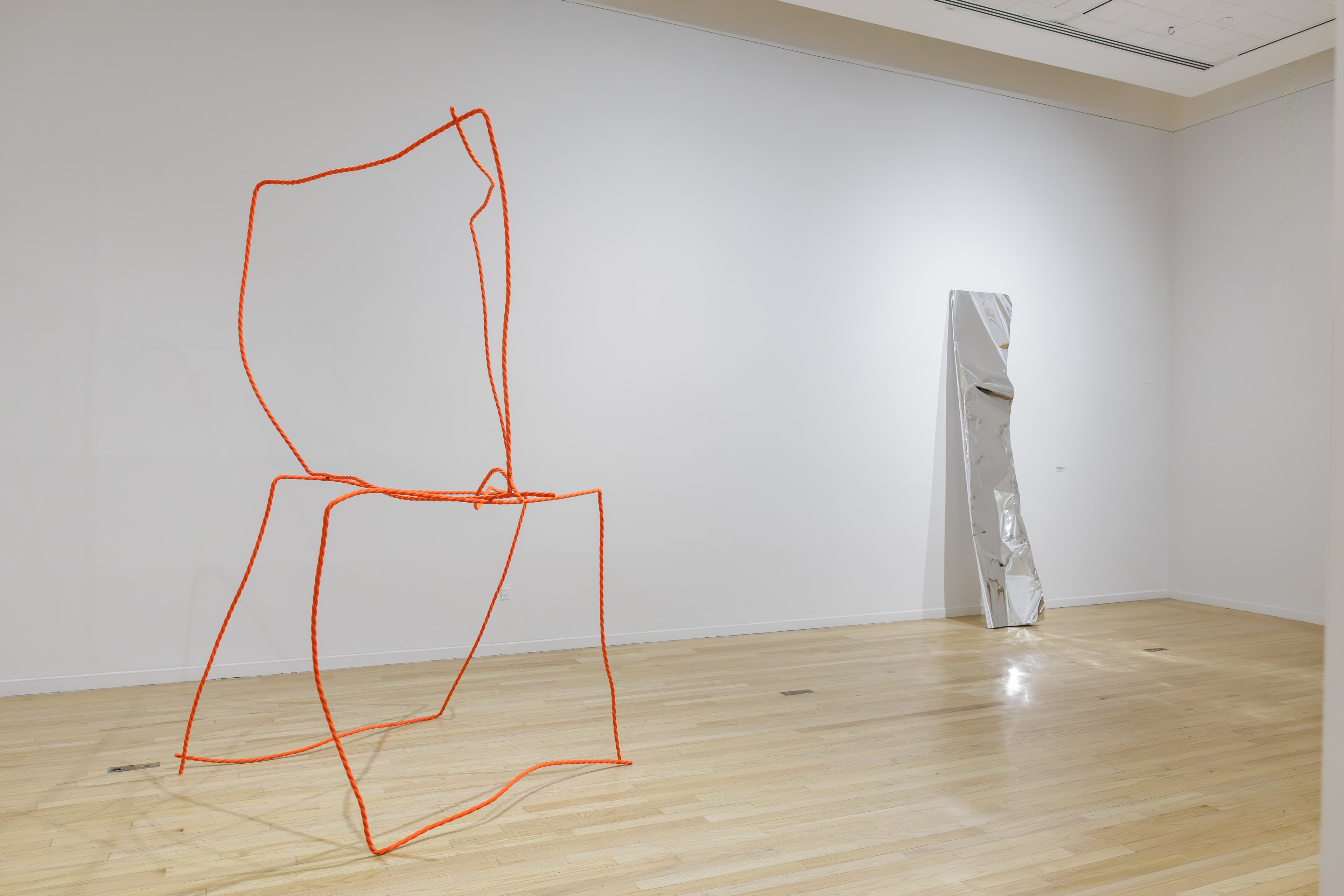 Michelle Lopez: Shadow of a Doubt - The Brooklyn Rail