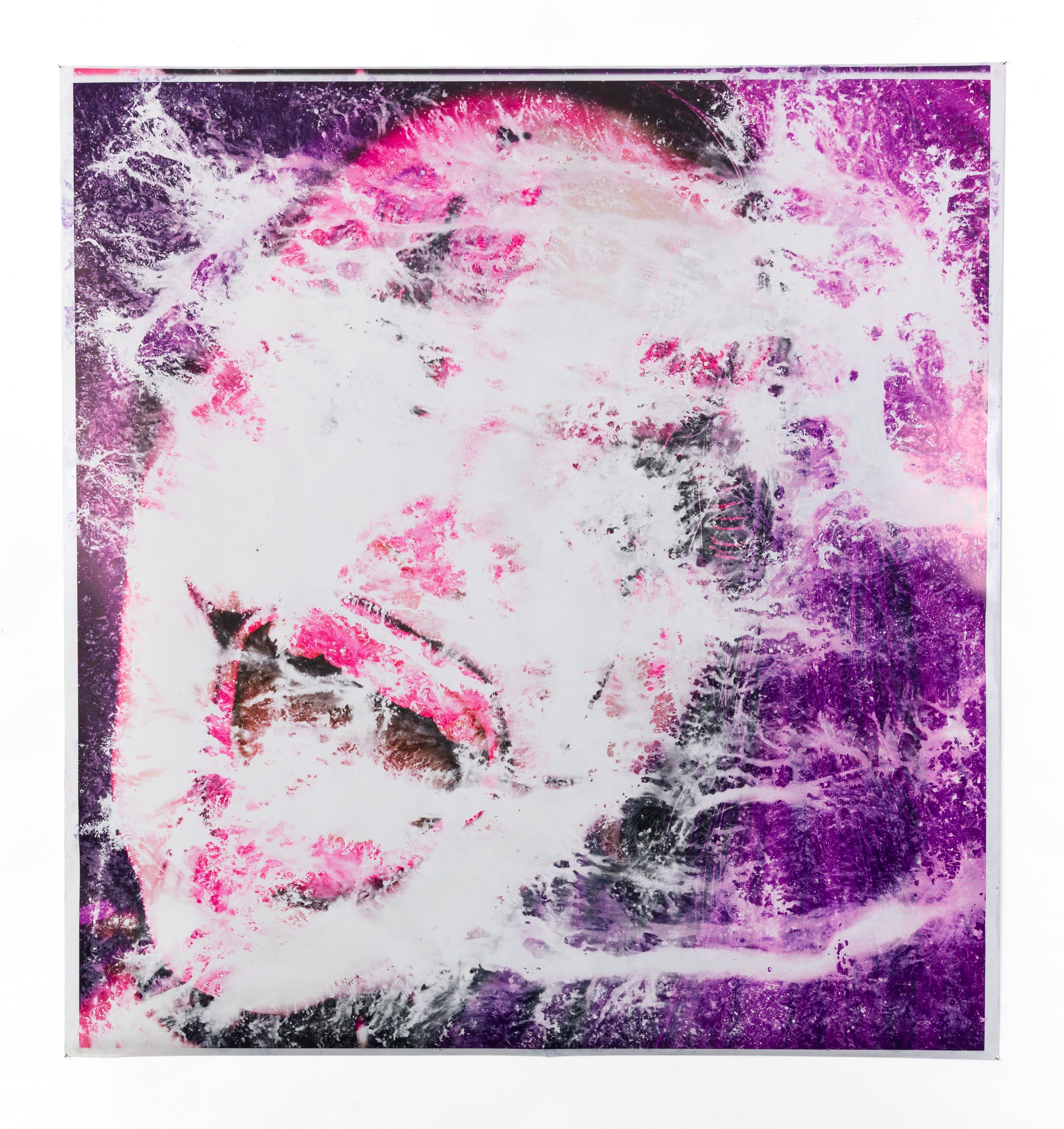 Curtis Mitchell, OMG, 2026. Giclée print, household chemicals, 63 ¼ × 60 inches. Courtesy the artist and Alex Berns.