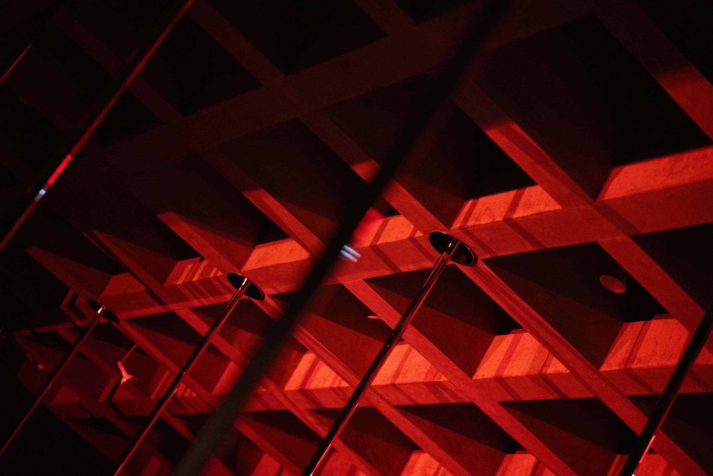 Ouroboros. Courtesy Erin Cuevas. Photo: Erin Cuevas.