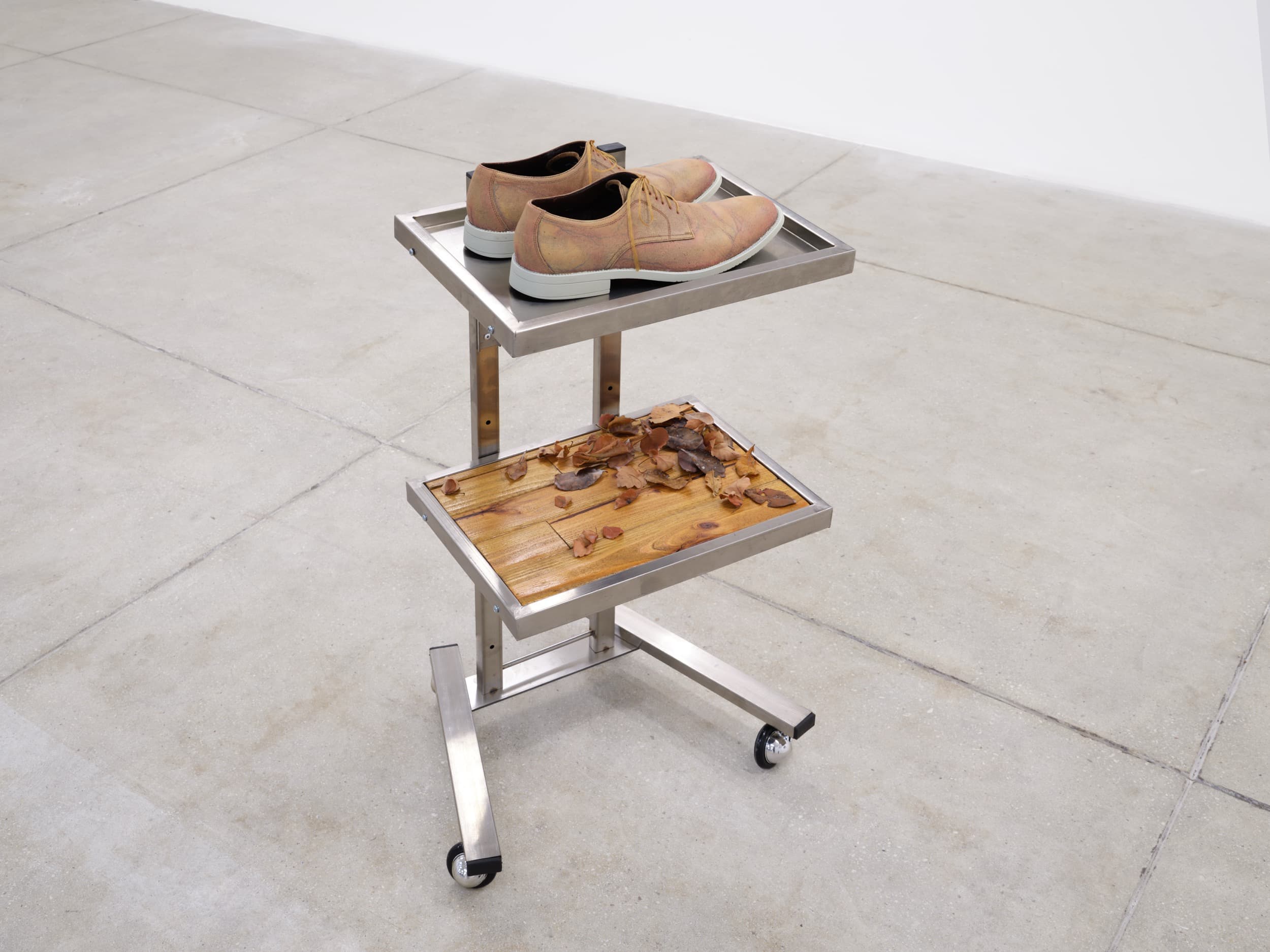 Andrius Alvarez-Backus, I Can Almost Remember (Excision #1), 2025. Shoes, acrylic, lacquered pine wood, dried leaves, beeswax, colored pencil, artificial sinew, stainless steel surgical cart. 36 x 16 x 14 inches. Courtesy MAMA Projects.