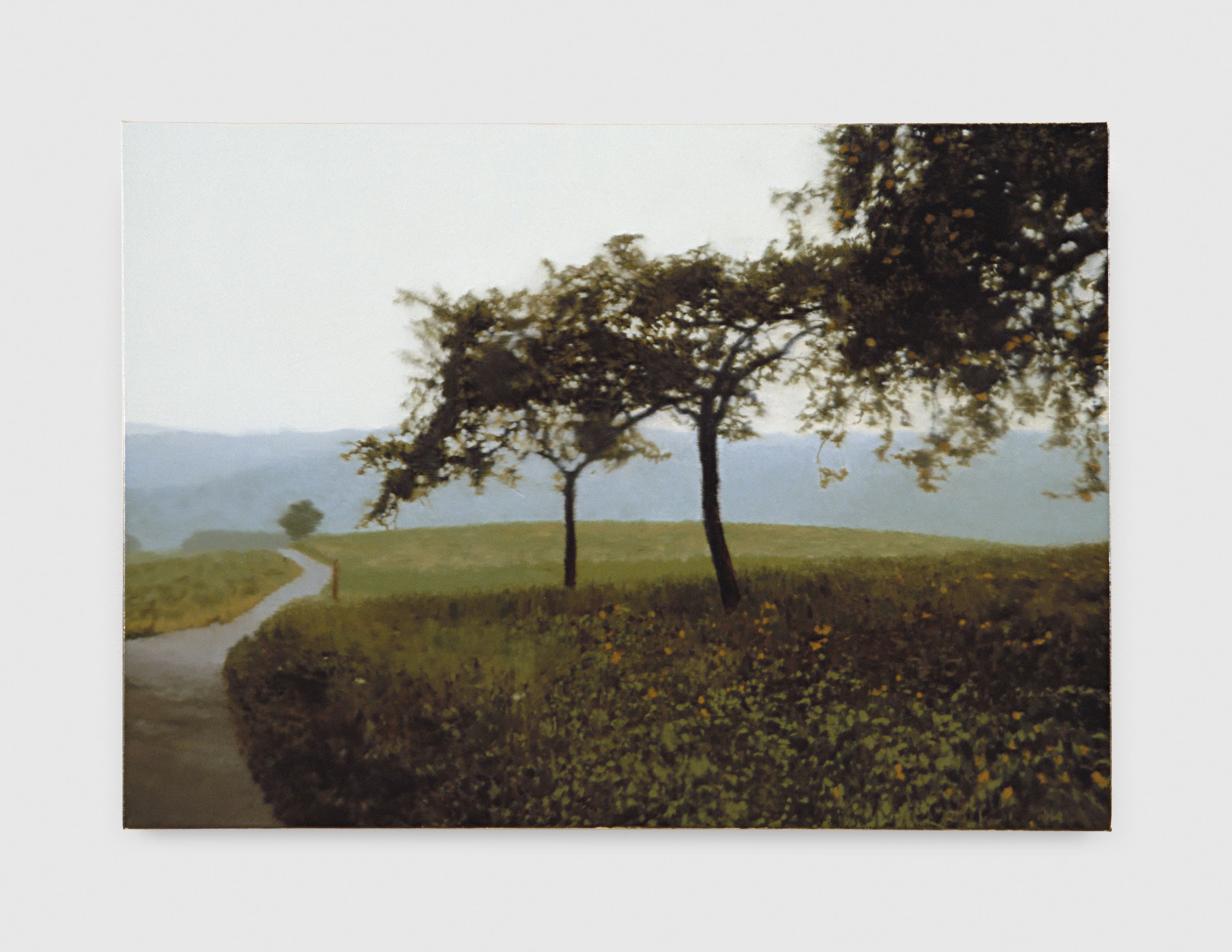 Gerhard Richter: Landschaften - The Brooklyn Rail